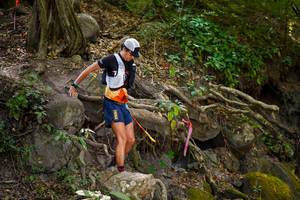 BIB: 
                            <button type="button" onclick="openModal(19510653)" class="btn btn-primary btn-sm float-right btn-popup" data-toggle="modal" data-target=".modal-high-quality">
                        <i class="fas fa-shopping-cart"></i> Add to Cart
                    </button>
                                            <button type="button" onclick="isThisMe(19510653, true)" class="btn btn-success btn-sm float-right btn-popup btn-isme hidden" data-toggle="tooltip" data-placement="bottom" title="นี่คือรูปของคุณใช่ไหม คลิกที่นี่เพื่อเอาเข้าอัลบั้ม">
                        <i class="fas fa-plus"></i> Add to album
                    </button>
                    <button type="button" onclick="isThisMe(19510653, false)" class="btn btn-warning btn-sm float-right btn-popup btn-isnotme hidden">
                        <i class="fas fa-ban"></i> Remove from album
                    </button>