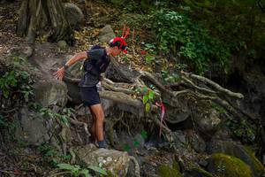 BIB: 
                            <button type="button" onclick="openModal(19513210)" class="btn btn-primary btn-sm float-right btn-popup" data-toggle="modal" data-target=".modal-high-quality">
                        <i class="fas fa-shopping-cart"></i> Add to Cart
                    </button>
                                            <button type="button" onclick="isThisMe(19513210, true)" class="btn btn-success btn-sm float-right btn-popup btn-isme hidden" data-toggle="tooltip" data-placement="bottom" title="นี่คือรูปของคุณใช่ไหม คลิกที่นี่เพื่อเอาเข้าอัลบั้ม">
                        <i class="fas fa-plus"></i> Add to album
                    </button>
                    <button type="button" onclick="isThisMe(19513210, false)" class="btn btn-warning btn-sm float-right btn-popup btn-isnotme hidden">
                        <i class="fas fa-ban"></i> Remove from album
                    </button>