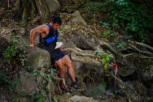 BIB: 
                            <button type="button" onclick="openModal(19512740)" class="btn btn-primary btn-sm float-right btn-popup" data-toggle="modal" data-target=".modal-high-quality">
                        <i class="fas fa-shopping-cart"></i> Add to Cart
                    </button>
                                            <button type="button" onclick="isThisMe(19512740, true)" class="btn btn-success btn-sm float-right btn-popup btn-isme hidden" data-toggle="tooltip" data-placement="bottom" title="นี่คือรูปของคุณใช่ไหม คลิกที่นี่เพื่อเอาเข้าอัลบั้ม">
                        <i class="fas fa-plus"></i> Add to album
                    </button>
                    <button type="button" onclick="isThisMe(19512740, false)" class="btn btn-warning btn-sm float-right btn-popup btn-isnotme hidden">
                        <i class="fas fa-ban"></i> Remove from album
                    </button>