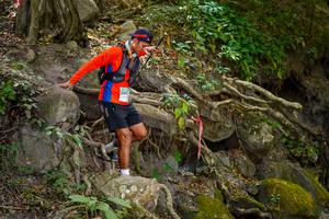 BIB: 
                            <button type="button" onclick="openModal(19513821)" class="btn btn-primary btn-sm float-right btn-popup" data-toggle="modal" data-target=".modal-high-quality">
                        <i class="fas fa-shopping-cart"></i> Add to Cart
                    </button>
                                            <button type="button" onclick="isThisMe(19513821, true)" class="btn btn-success btn-sm float-right btn-popup btn-isme hidden" data-toggle="tooltip" data-placement="bottom" title="นี่คือรูปของคุณใช่ไหม คลิกที่นี่เพื่อเอาเข้าอัลบั้ม">
                        <i class="fas fa-plus"></i> Add to album
                    </button>
                    <button type="button" onclick="isThisMe(19513821, false)" class="btn btn-warning btn-sm float-right btn-popup btn-isnotme hidden">
                        <i class="fas fa-ban"></i> Remove from album
                    </button>