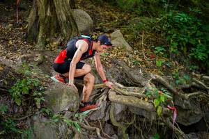 BIB: 
                            <button type="button" onclick="openModal(19511913)" class="btn btn-primary btn-sm float-right btn-popup" data-toggle="modal" data-target=".modal-high-quality">
                        <i class="fas fa-shopping-cart"></i> Add to Cart
                    </button>
                                            <button type="button" onclick="isThisMe(19511913, true)" class="btn btn-success btn-sm float-right btn-popup btn-isme hidden" data-toggle="tooltip" data-placement="bottom" title="นี่คือรูปของคุณใช่ไหม คลิกที่นี่เพื่อเอาเข้าอัลบั้ม">
                        <i class="fas fa-plus"></i> Add to album
                    </button>
                    <button type="button" onclick="isThisMe(19511913, false)" class="btn btn-warning btn-sm float-right btn-popup btn-isnotme hidden">
                        <i class="fas fa-ban"></i> Remove from album
                    </button>