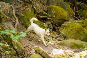 BIB: 
                            <button type="button" onclick="openModal(19514239)" class="btn btn-primary btn-sm float-right btn-popup" data-toggle="modal" data-target=".modal-high-quality">
                        <i class="fas fa-shopping-cart"></i> Add to Cart
                    </button>
                                            <button type="button" onclick="isThisMe(19514239, true)" class="btn btn-success btn-sm float-right btn-popup btn-isme hidden" data-toggle="tooltip" data-placement="bottom" title="นี่คือรูปของคุณใช่ไหม คลิกที่นี่เพื่อเอาเข้าอัลบั้ม">
                        <i class="fas fa-plus"></i> Add to album
                    </button>
                    <button type="button" onclick="isThisMe(19514239, false)" class="btn btn-warning btn-sm float-right btn-popup btn-isnotme hidden">
                        <i class="fas fa-ban"></i> Remove from album
                    </button>