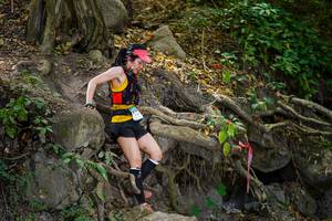 BIB: 
                            <button type="button" onclick="openModal(19513161)" class="btn btn-primary btn-sm float-right btn-popup" data-toggle="modal" data-target=".modal-high-quality">
                        <i class="fas fa-shopping-cart"></i> Add to Cart
                    </button>
                                            <button type="button" onclick="isThisMe(19513161, true)" class="btn btn-success btn-sm float-right btn-popup btn-isme hidden" data-toggle="tooltip" data-placement="bottom" title="นี่คือรูปของคุณใช่ไหม คลิกที่นี่เพื่อเอาเข้าอัลบั้ม">
                        <i class="fas fa-plus"></i> Add to album
                    </button>
                    <button type="button" onclick="isThisMe(19513161, false)" class="btn btn-warning btn-sm float-right btn-popup btn-isnotme hidden">
                        <i class="fas fa-ban"></i> Remove from album
                    </button>