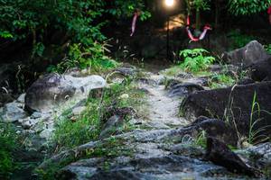 BIB: 
                            <button type="button" onclick="openModal(19454558)" class="btn btn-primary btn-sm float-right btn-popup" data-toggle="modal" data-target=".modal-high-quality">
                        <i class="fas fa-shopping-cart"></i> Add to Cart
                    </button>
                                            <button type="button" onclick="isThisMe(19454558, true)" class="btn btn-success btn-sm float-right btn-popup btn-isme hidden" data-toggle="tooltip" data-placement="bottom" title="นี่คือรูปของคุณใช่ไหม คลิกที่นี่เพื่อเอาเข้าอัลบั้ม">
                        <i class="fas fa-plus"></i> Add to album
                    </button>
                    <button type="button" onclick="isThisMe(19454558, false)" class="btn btn-warning btn-sm float-right btn-popup btn-isnotme hidden">
                        <i class="fas fa-ban"></i> Remove from album
                    </button>