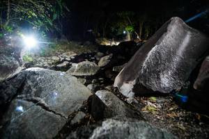 BIB: 
                            <button type="button" onclick="openModal(19450903)" class="btn btn-primary btn-sm float-right btn-popup" data-toggle="modal" data-target=".modal-high-quality">
                        <i class="fas fa-shopping-cart"></i> Add to Cart
                    </button>
                                            <button type="button" onclick="isThisMe(19450903, true)" class="btn btn-success btn-sm float-right btn-popup btn-isme hidden" data-toggle="tooltip" data-placement="bottom" title="นี่คือรูปของคุณใช่ไหม คลิกที่นี่เพื่อเอาเข้าอัลบั้ม">
                        <i class="fas fa-plus"></i> Add to album
                    </button>
                    <button type="button" onclick="isThisMe(19450903, false)" class="btn btn-warning btn-sm float-right btn-popup btn-isnotme hidden">
                        <i class="fas fa-ban"></i> Remove from album
                    </button>