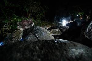 BIB: 
                            <button type="button" onclick="openModal(19450933)" class="btn btn-primary btn-sm float-right btn-popup" data-toggle="modal" data-target=".modal-high-quality">
                        <i class="fas fa-shopping-cart"></i> Add to Cart
                    </button>
                                            <button type="button" onclick="isThisMe(19450933, true)" class="btn btn-success btn-sm float-right btn-popup btn-isme hidden" data-toggle="tooltip" data-placement="bottom" title="นี่คือรูปของคุณใช่ไหม คลิกที่นี่เพื่อเอาเข้าอัลบั้ม">
                        <i class="fas fa-plus"></i> Add to album
                    </button>
                    <button type="button" onclick="isThisMe(19450933, false)" class="btn btn-warning btn-sm float-right btn-popup btn-isnotme hidden">
                        <i class="fas fa-ban"></i> Remove from album
                    </button>