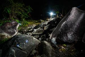 BIB: 
                            <button type="button" onclick="openModal(19450914)" class="btn btn-primary btn-sm float-right btn-popup" data-toggle="modal" data-target=".modal-high-quality">
                        <i class="fas fa-shopping-cart"></i> Add to Cart
                    </button>
                                            <button type="button" onclick="isThisMe(19450914, true)" class="btn btn-success btn-sm float-right btn-popup btn-isme hidden" data-toggle="tooltip" data-placement="bottom" title="นี่คือรูปของคุณใช่ไหม คลิกที่นี่เพื่อเอาเข้าอัลบั้ม">
                        <i class="fas fa-plus"></i> Add to album
                    </button>
                    <button type="button" onclick="isThisMe(19450914, false)" class="btn btn-warning btn-sm float-right btn-popup btn-isnotme hidden">
                        <i class="fas fa-ban"></i> Remove from album
                    </button>