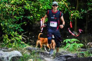 BIB: 
                            <button type="button" onclick="openModal(19456982)" class="btn btn-primary btn-sm float-right btn-popup" data-toggle="modal" data-target=".modal-high-quality">
                        <i class="fas fa-shopping-cart"></i> Add to Cart
                    </button>
                                            <button type="button" onclick="isThisMe(19456982, true)" class="btn btn-success btn-sm float-right btn-popup btn-isme hidden" data-toggle="tooltip" data-placement="bottom" title="นี่คือรูปของคุณใช่ไหม คลิกที่นี่เพื่อเอาเข้าอัลบั้ม">
                        <i class="fas fa-plus"></i> Add to album
                    </button>
                    <button type="button" onclick="isThisMe(19456982, false)" class="btn btn-warning btn-sm float-right btn-popup btn-isnotme hidden">
                        <i class="fas fa-ban"></i> Remove from album
                    </button>