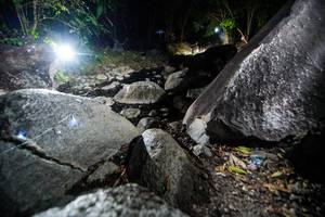 BIB: 
                            <button type="button" onclick="openModal(19450900)" class="btn btn-primary btn-sm float-right btn-popup" data-toggle="modal" data-target=".modal-high-quality">
                        <i class="fas fa-shopping-cart"></i> Add to Cart
                    </button>
                                            <button type="button" onclick="isThisMe(19450900, true)" class="btn btn-success btn-sm float-right btn-popup btn-isme hidden" data-toggle="tooltip" data-placement="bottom" title="นี่คือรูปของคุณใช่ไหม คลิกที่นี่เพื่อเอาเข้าอัลบั้ม">
                        <i class="fas fa-plus"></i> Add to album
                    </button>
                    <button type="button" onclick="isThisMe(19450900, false)" class="btn btn-warning btn-sm float-right btn-popup btn-isnotme hidden">
                        <i class="fas fa-ban"></i> Remove from album
                    </button>