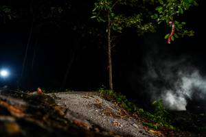 BIB: 
                            <button type="button" onclick="openModal(19452677)" class="btn btn-primary btn-sm float-right btn-popup" data-toggle="modal" data-target=".modal-high-quality">
                        <i class="fas fa-shopping-cart"></i> Add to Cart
                    </button>
                                            <button type="button" onclick="isThisMe(19452677, true)" class="btn btn-success btn-sm float-right btn-popup btn-isme hidden" data-toggle="tooltip" data-placement="bottom" title="นี่คือรูปของคุณใช่ไหม คลิกที่นี่เพื่อเอาเข้าอัลบั้ม">
                        <i class="fas fa-plus"></i> Add to album
                    </button>
                    <button type="button" onclick="isThisMe(19452677, false)" class="btn btn-warning btn-sm float-right btn-popup btn-isnotme hidden">
                        <i class="fas fa-ban"></i> Remove from album
                    </button>