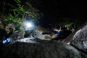 BIB: 
                            <button type="button" onclick="openModal(19450890)" class="btn btn-primary btn-sm float-right btn-popup" data-toggle="modal" data-target=".modal-high-quality">
                        <i class="fas fa-shopping-cart"></i> Add to Cart
                    </button>
                                            <button type="button" onclick="isThisMe(19450890, true)" class="btn btn-success btn-sm float-right btn-popup btn-isme hidden" data-toggle="tooltip" data-placement="bottom" title="นี่คือรูปของคุณใช่ไหม คลิกที่นี่เพื่อเอาเข้าอัลบั้ม">
                        <i class="fas fa-plus"></i> Add to album
                    </button>
                    <button type="button" onclick="isThisMe(19450890, false)" class="btn btn-warning btn-sm float-right btn-popup btn-isnotme hidden">
                        <i class="fas fa-ban"></i> Remove from album
                    </button>