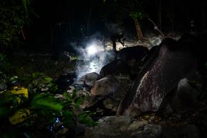 BIB: 
                            <button type="button" onclick="openModal(19451009)" class="btn btn-primary btn-sm float-right btn-popup" data-toggle="modal" data-target=".modal-high-quality">
                        <i class="fas fa-shopping-cart"></i> Add to Cart
                    </button>
                                            <button type="button" onclick="isThisMe(19451009, true)" class="btn btn-success btn-sm float-right btn-popup btn-isme hidden" data-toggle="tooltip" data-placement="bottom" title="นี่คือรูปของคุณใช่ไหม คลิกที่นี่เพื่อเอาเข้าอัลบั้ม">
                        <i class="fas fa-plus"></i> Add to album
                    </button>
                    <button type="button" onclick="isThisMe(19451009, false)" class="btn btn-warning btn-sm float-right btn-popup btn-isnotme hidden">
                        <i class="fas fa-ban"></i> Remove from album
                    </button>