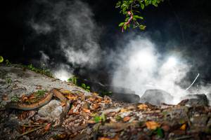 BIB: 
                            <button type="button" onclick="openModal(19452657)" class="btn btn-primary btn-sm float-right btn-popup" data-toggle="modal" data-target=".modal-high-quality">
                        <i class="fas fa-shopping-cart"></i> Add to Cart
                    </button>
                                            <button type="button" onclick="isThisMe(19452657, true)" class="btn btn-success btn-sm float-right btn-popup btn-isme hidden" data-toggle="tooltip" data-placement="bottom" title="นี่คือรูปของคุณใช่ไหม คลิกที่นี่เพื่อเอาเข้าอัลบั้ม">
                        <i class="fas fa-plus"></i> Add to album
                    </button>
                    <button type="button" onclick="isThisMe(19452657, false)" class="btn btn-warning btn-sm float-right btn-popup btn-isnotme hidden">
                        <i class="fas fa-ban"></i> Remove from album
                    </button>