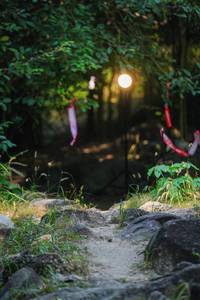 BIB: 
                            <button type="button" onclick="openModal(19457299)" class="btn btn-primary btn-sm float-right btn-popup" data-toggle="modal" data-target=".modal-high-quality">
                        <i class="fas fa-shopping-cart"></i> Add to Cart
                    </button>
                                            <button type="button" onclick="isThisMe(19457299, true)" class="btn btn-success btn-sm float-right btn-popup btn-isme hidden" data-toggle="tooltip" data-placement="bottom" title="นี่คือรูปของคุณใช่ไหม คลิกที่นี่เพื่อเอาเข้าอัลบั้ม">
                        <i class="fas fa-plus"></i> Add to album
                    </button>
                    <button type="button" onclick="isThisMe(19457299, false)" class="btn btn-warning btn-sm float-right btn-popup btn-isnotme hidden">
                        <i class="fas fa-ban"></i> Remove from album
                    </button>