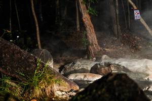 BIB: 
                            <button type="button" onclick="openModal(19452732)" class="btn btn-primary btn-sm float-right btn-popup" data-toggle="modal" data-target=".modal-high-quality">
                        <i class="fas fa-shopping-cart"></i> Add to Cart
                    </button>
                                            <button type="button" onclick="isThisMe(19452732, true)" class="btn btn-success btn-sm float-right btn-popup btn-isme hidden" data-toggle="tooltip" data-placement="bottom" title="นี่คือรูปของคุณใช่ไหม คลิกที่นี่เพื่อเอาเข้าอัลบั้ม">
                        <i class="fas fa-plus"></i> Add to album
                    </button>
                    <button type="button" onclick="isThisMe(19452732, false)" class="btn btn-warning btn-sm float-right btn-popup btn-isnotme hidden">
                        <i class="fas fa-ban"></i> Remove from album
                    </button>