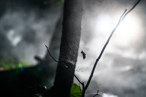 BIB: 
                            <button type="button" onclick="openModal(19452820)" class="btn btn-primary btn-sm float-right btn-popup" data-toggle="modal" data-target=".modal-high-quality">
                        <i class="fas fa-shopping-cart"></i> Add to Cart
                    </button>
                                            <button type="button" onclick="isThisMe(19452820, true)" class="btn btn-success btn-sm float-right btn-popup btn-isme hidden" data-toggle="tooltip" data-placement="bottom" title="นี่คือรูปของคุณใช่ไหม คลิกที่นี่เพื่อเอาเข้าอัลบั้ม">
                        <i class="fas fa-plus"></i> Add to album
                    </button>
                    <button type="button" onclick="isThisMe(19452820, false)" class="btn btn-warning btn-sm float-right btn-popup btn-isnotme hidden">
                        <i class="fas fa-ban"></i> Remove from album
                    </button>