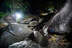 BIB: 
                            <button type="button" onclick="openModal(19450902)" class="btn btn-primary btn-sm float-right btn-popup" data-toggle="modal" data-target=".modal-high-quality">
                        <i class="fas fa-shopping-cart"></i> Add to Cart
                    </button>
                                            <button type="button" onclick="isThisMe(19450902, true)" class="btn btn-success btn-sm float-right btn-popup btn-isme hidden" data-toggle="tooltip" data-placement="bottom" title="นี่คือรูปของคุณใช่ไหม คลิกที่นี่เพื่อเอาเข้าอัลบั้ม">
                        <i class="fas fa-plus"></i> Add to album
                    </button>
                    <button type="button" onclick="isThisMe(19450902, false)" class="btn btn-warning btn-sm float-right btn-popup btn-isnotme hidden">
                        <i class="fas fa-ban"></i> Remove from album
                    </button>