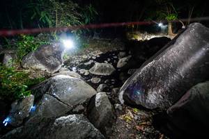 BIB: 
                            <button type="button" onclick="openModal(19450898)" class="btn btn-primary btn-sm float-right btn-popup" data-toggle="modal" data-target=".modal-high-quality">
                        <i class="fas fa-shopping-cart"></i> Add to Cart
                    </button>
                                            <button type="button" onclick="isThisMe(19450898, true)" class="btn btn-success btn-sm float-right btn-popup btn-isme hidden" data-toggle="tooltip" data-placement="bottom" title="นี่คือรูปของคุณใช่ไหม คลิกที่นี่เพื่อเอาเข้าอัลบั้ม">
                        <i class="fas fa-plus"></i> Add to album
                    </button>
                    <button type="button" onclick="isThisMe(19450898, false)" class="btn btn-warning btn-sm float-right btn-popup btn-isnotme hidden">
                        <i class="fas fa-ban"></i> Remove from album
                    </button>