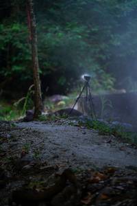 BIB: 
                            <button type="button" onclick="openModal(19454521)" class="btn btn-primary btn-sm float-right btn-popup" data-toggle="modal" data-target=".modal-high-quality">
                        <i class="fas fa-shopping-cart"></i> Add to Cart
                    </button>
                                            <button type="button" onclick="isThisMe(19454521, true)" class="btn btn-success btn-sm float-right btn-popup btn-isme hidden" data-toggle="tooltip" data-placement="bottom" title="นี่คือรูปของคุณใช่ไหม คลิกที่นี่เพื่อเอาเข้าอัลบั้ม">
                        <i class="fas fa-plus"></i> Add to album
                    </button>
                    <button type="button" onclick="isThisMe(19454521, false)" class="btn btn-warning btn-sm float-right btn-popup btn-isnotme hidden">
                        <i class="fas fa-ban"></i> Remove from album
                    </button>