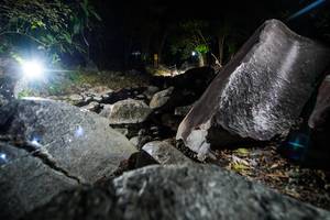 BIB: 
                            <button type="button" onclick="openModal(19450897)" class="btn btn-primary btn-sm float-right btn-popup" data-toggle="modal" data-target=".modal-high-quality">
                        <i class="fas fa-shopping-cart"></i> Add to Cart
                    </button>
                                            <button type="button" onclick="isThisMe(19450897, true)" class="btn btn-success btn-sm float-right btn-popup btn-isme hidden" data-toggle="tooltip" data-placement="bottom" title="นี่คือรูปของคุณใช่ไหม คลิกที่นี่เพื่อเอาเข้าอัลบั้ม">
                        <i class="fas fa-plus"></i> Add to album
                    </button>
                    <button type="button" onclick="isThisMe(19450897, false)" class="btn btn-warning btn-sm float-right btn-popup btn-isnotme hidden">
                        <i class="fas fa-ban"></i> Remove from album
                    </button>