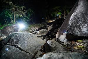 BIB: 
                            <button type="button" onclick="openModal(19450906)" class="btn btn-primary btn-sm float-right btn-popup" data-toggle="modal" data-target=".modal-high-quality">
                        <i class="fas fa-shopping-cart"></i> Add to Cart
                    </button>
                                            <button type="button" onclick="isThisMe(19450906, true)" class="btn btn-success btn-sm float-right btn-popup btn-isme hidden" data-toggle="tooltip" data-placement="bottom" title="นี่คือรูปของคุณใช่ไหม คลิกที่นี่เพื่อเอาเข้าอัลบั้ม">
                        <i class="fas fa-plus"></i> Add to album
                    </button>
                    <button type="button" onclick="isThisMe(19450906, false)" class="btn btn-warning btn-sm float-right btn-popup btn-isnotme hidden">
                        <i class="fas fa-ban"></i> Remove from album
                    </button>