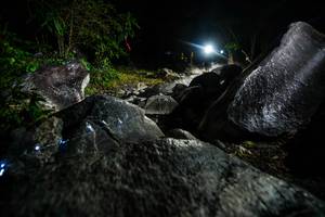 BIB: 
                            <button type="button" onclick="openModal(19450912)" class="btn btn-primary btn-sm float-right btn-popup" data-toggle="modal" data-target=".modal-high-quality">
                        <i class="fas fa-shopping-cart"></i> Add to Cart
                    </button>
                                            <button type="button" onclick="isThisMe(19450912, true)" class="btn btn-success btn-sm float-right btn-popup btn-isme hidden" data-toggle="tooltip" data-placement="bottom" title="นี่คือรูปของคุณใช่ไหม คลิกที่นี่เพื่อเอาเข้าอัลบั้ม">
                        <i class="fas fa-plus"></i> Add to album
                    </button>
                    <button type="button" onclick="isThisMe(19450912, false)" class="btn btn-warning btn-sm float-right btn-popup btn-isnotme hidden">
                        <i class="fas fa-ban"></i> Remove from album
                    </button>