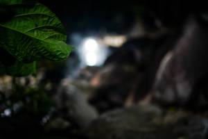 BIB: 
                            <button type="button" onclick="openModal(19451042)" class="btn btn-primary btn-sm float-right btn-popup" data-toggle="modal" data-target=".modal-high-quality">
                        <i class="fas fa-shopping-cart"></i> Add to Cart
                    </button>
                                            <button type="button" onclick="isThisMe(19451042, true)" class="btn btn-success btn-sm float-right btn-popup btn-isme hidden" data-toggle="tooltip" data-placement="bottom" title="นี่คือรูปของคุณใช่ไหม คลิกที่นี่เพื่อเอาเข้าอัลบั้ม">
                        <i class="fas fa-plus"></i> Add to album
                    </button>
                    <button type="button" onclick="isThisMe(19451042, false)" class="btn btn-warning btn-sm float-right btn-popup btn-isnotme hidden">
                        <i class="fas fa-ban"></i> Remove from album
                    </button>