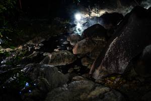 BIB: 
                            <button type="button" onclick="openModal(19451021)" class="btn btn-primary btn-sm float-right btn-popup" data-toggle="modal" data-target=".modal-high-quality">
                        <i class="fas fa-shopping-cart"></i> Add to Cart
                    </button>
                                            <button type="button" onclick="isThisMe(19451021, true)" class="btn btn-success btn-sm float-right btn-popup btn-isme hidden" data-toggle="tooltip" data-placement="bottom" title="นี่คือรูปของคุณใช่ไหม คลิกที่นี่เพื่อเอาเข้าอัลบั้ม">
                        <i class="fas fa-plus"></i> Add to album
                    </button>
                    <button type="button" onclick="isThisMe(19451021, false)" class="btn btn-warning btn-sm float-right btn-popup btn-isnotme hidden">
                        <i class="fas fa-ban"></i> Remove from album
                    </button>