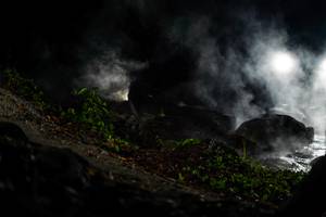 BIB: 
                            <button type="button" onclick="openModal(19452653)" class="btn btn-primary btn-sm float-right btn-popup" data-toggle="modal" data-target=".modal-high-quality">
                        <i class="fas fa-shopping-cart"></i> Add to Cart
                    </button>
                                            <button type="button" onclick="isThisMe(19452653, true)" class="btn btn-success btn-sm float-right btn-popup btn-isme hidden" data-toggle="tooltip" data-placement="bottom" title="นี่คือรูปของคุณใช่ไหม คลิกที่นี่เพื่อเอาเข้าอัลบั้ม">
                        <i class="fas fa-plus"></i> Add to album
                    </button>
                    <button type="button" onclick="isThisMe(19452653, false)" class="btn btn-warning btn-sm float-right btn-popup btn-isnotme hidden">
                        <i class="fas fa-ban"></i> Remove from album
                    </button>