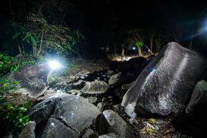 BIB: 
                            <button type="button" onclick="openModal(19450892)" class="btn btn-primary btn-sm float-right btn-popup" data-toggle="modal" data-target=".modal-high-quality">
                        <i class="fas fa-shopping-cart"></i> Add to Cart
                    </button>
                                            <button type="button" onclick="isThisMe(19450892, true)" class="btn btn-success btn-sm float-right btn-popup btn-isme hidden" data-toggle="tooltip" data-placement="bottom" title="นี่คือรูปของคุณใช่ไหม คลิกที่นี่เพื่อเอาเข้าอัลบั้ม">
                        <i class="fas fa-plus"></i> Add to album
                    </button>
                    <button type="button" onclick="isThisMe(19450892, false)" class="btn btn-warning btn-sm float-right btn-popup btn-isnotme hidden">
                        <i class="fas fa-ban"></i> Remove from album
                    </button>