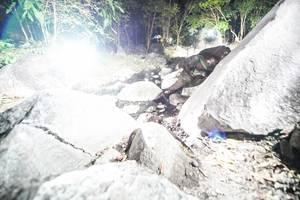 BIB: 
                            <button type="button" onclick="openModal(19450901)" class="btn btn-primary btn-sm float-right btn-popup" data-toggle="modal" data-target=".modal-high-quality">
                        <i class="fas fa-shopping-cart"></i> Add to Cart
                    </button>
                                            <button type="button" onclick="isThisMe(19450901, true)" class="btn btn-success btn-sm float-right btn-popup btn-isme hidden" data-toggle="tooltip" data-placement="bottom" title="นี่คือรูปของคุณใช่ไหม คลิกที่นี่เพื่อเอาเข้าอัลบั้ม">
                        <i class="fas fa-plus"></i> Add to album
                    </button>
                    <button type="button" onclick="isThisMe(19450901, false)" class="btn btn-warning btn-sm float-right btn-popup btn-isnotme hidden">
                        <i class="fas fa-ban"></i> Remove from album
                    </button>