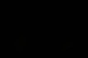 BIB: 
                            <button type="button" onclick="openModal(19451031)" class="btn btn-primary btn-sm float-right btn-popup" data-toggle="modal" data-target=".modal-high-quality">
                        <i class="fas fa-shopping-cart"></i> Add to Cart
                    </button>
                                            <button type="button" onclick="isThisMe(19451031, true)" class="btn btn-success btn-sm float-right btn-popup btn-isme hidden" data-toggle="tooltip" data-placement="bottom" title="นี่คือรูปของคุณใช่ไหม คลิกที่นี่เพื่อเอาเข้าอัลบั้ม">
                        <i class="fas fa-plus"></i> Add to album
                    </button>
                    <button type="button" onclick="isThisMe(19451031, false)" class="btn btn-warning btn-sm float-right btn-popup btn-isnotme hidden">
                        <i class="fas fa-ban"></i> Remove from album
                    </button>