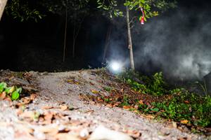 BIB: 
                            <button type="button" onclick="openModal(19452668)" class="btn btn-primary btn-sm float-right btn-popup" data-toggle="modal" data-target=".modal-high-quality">
                        <i class="fas fa-shopping-cart"></i> Add to Cart
                    </button>
                                            <button type="button" onclick="isThisMe(19452668, true)" class="btn btn-success btn-sm float-right btn-popup btn-isme hidden" data-toggle="tooltip" data-placement="bottom" title="นี่คือรูปของคุณใช่ไหม คลิกที่นี่เพื่อเอาเข้าอัลบั้ม">
                        <i class="fas fa-plus"></i> Add to album
                    </button>
                    <button type="button" onclick="isThisMe(19452668, false)" class="btn btn-warning btn-sm float-right btn-popup btn-isnotme hidden">
                        <i class="fas fa-ban"></i> Remove from album
                    </button>