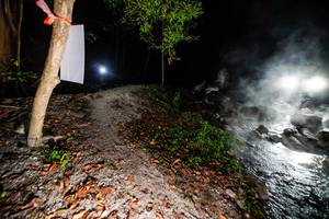 BIB: 
                            <button type="button" onclick="openModal(19452694)" class="btn btn-primary btn-sm float-right btn-popup" data-toggle="modal" data-target=".modal-high-quality">
                        <i class="fas fa-shopping-cart"></i> Add to Cart
                    </button>
                                            <button type="button" onclick="isThisMe(19452694, true)" class="btn btn-success btn-sm float-right btn-popup btn-isme hidden" data-toggle="tooltip" data-placement="bottom" title="นี่คือรูปของคุณใช่ไหม คลิกที่นี่เพื่อเอาเข้าอัลบั้ม">
                        <i class="fas fa-plus"></i> Add to album
                    </button>
                    <button type="button" onclick="isThisMe(19452694, false)" class="btn btn-warning btn-sm float-right btn-popup btn-isnotme hidden">
                        <i class="fas fa-ban"></i> Remove from album
                    </button>