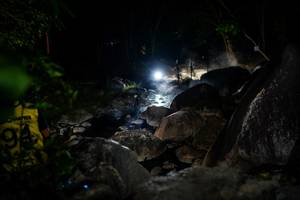 BIB: 
                            <button type="button" onclick="openModal(19451013)" class="btn btn-primary btn-sm float-right btn-popup" data-toggle="modal" data-target=".modal-high-quality">
                        <i class="fas fa-shopping-cart"></i> Add to Cart
                    </button>
                                            <button type="button" onclick="isThisMe(19451013, true)" class="btn btn-success btn-sm float-right btn-popup btn-isme hidden" data-toggle="tooltip" data-placement="bottom" title="นี่คือรูปของคุณใช่ไหม คลิกที่นี่เพื่อเอาเข้าอัลบั้ม">
                        <i class="fas fa-plus"></i> Add to album
                    </button>
                    <button type="button" onclick="isThisMe(19451013, false)" class="btn btn-warning btn-sm float-right btn-popup btn-isnotme hidden">
                        <i class="fas fa-ban"></i> Remove from album
                    </button>