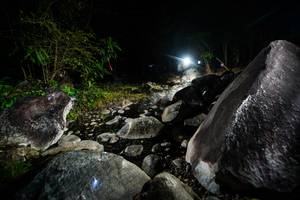 BIB: 
                            <button type="button" onclick="openModal(19450918)" class="btn btn-primary btn-sm float-right btn-popup" data-toggle="modal" data-target=".modal-high-quality">
                        <i class="fas fa-shopping-cart"></i> Add to Cart
                    </button>
                                            <button type="button" onclick="isThisMe(19450918, true)" class="btn btn-success btn-sm float-right btn-popup btn-isme hidden" data-toggle="tooltip" data-placement="bottom" title="นี่คือรูปของคุณใช่ไหม คลิกที่นี่เพื่อเอาเข้าอัลบั้ม">
                        <i class="fas fa-plus"></i> Add to album
                    </button>
                    <button type="button" onclick="isThisMe(19450918, false)" class="btn btn-warning btn-sm float-right btn-popup btn-isnotme hidden">
                        <i class="fas fa-ban"></i> Remove from album
                    </button>