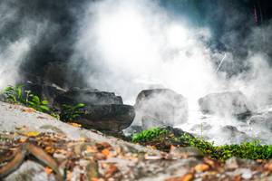 BIB: 
                            <button type="button" onclick="openModal(19452738)" class="btn btn-primary btn-sm float-right btn-popup" data-toggle="modal" data-target=".modal-high-quality">
                        <i class="fas fa-shopping-cart"></i> Add to Cart
                    </button>
                                            <button type="button" onclick="isThisMe(19452738, true)" class="btn btn-success btn-sm float-right btn-popup btn-isme hidden" data-toggle="tooltip" data-placement="bottom" title="นี่คือรูปของคุณใช่ไหม คลิกที่นี่เพื่อเอาเข้าอัลบั้ม">
                        <i class="fas fa-plus"></i> Add to album
                    </button>
                    <button type="button" onclick="isThisMe(19452738, false)" class="btn btn-warning btn-sm float-right btn-popup btn-isnotme hidden">
                        <i class="fas fa-ban"></i> Remove from album
                    </button>