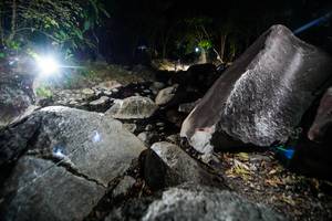 BIB: 
                            <button type="button" onclick="openModal(19450905)" class="btn btn-primary btn-sm float-right btn-popup" data-toggle="modal" data-target=".modal-high-quality">
                        <i class="fas fa-shopping-cart"></i> Add to Cart
                    </button>
                                            <button type="button" onclick="isThisMe(19450905, true)" class="btn btn-success btn-sm float-right btn-popup btn-isme hidden" data-toggle="tooltip" data-placement="bottom" title="นี่คือรูปของคุณใช่ไหม คลิกที่นี่เพื่อเอาเข้าอัลบั้ม">
                        <i class="fas fa-plus"></i> Add to album
                    </button>
                    <button type="button" onclick="isThisMe(19450905, false)" class="btn btn-warning btn-sm float-right btn-popup btn-isnotme hidden">
                        <i class="fas fa-ban"></i> Remove from album
                    </button>