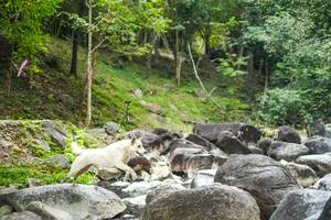 BIB: 
                            <button type="button" onclick="openModal(19433843)" class="btn btn-primary btn-sm float-right btn-popup" data-toggle="modal" data-target=".modal-high-quality">
                        <i class="fas fa-shopping-cart"></i> Add to Cart
                    </button>
                                            <button type="button" onclick="isThisMe(19433843, true)" class="btn btn-success btn-sm float-right btn-popup btn-isme hidden" data-toggle="tooltip" data-placement="bottom" title="นี่คือรูปของคุณใช่ไหม คลิกที่นี่เพื่อเอาเข้าอัลบั้ม">
                        <i class="fas fa-plus"></i> Add to album
                    </button>
                    <button type="button" onclick="isThisMe(19433843, false)" class="btn btn-warning btn-sm float-right btn-popup btn-isnotme hidden">
                        <i class="fas fa-ban"></i> Remove from album
                    </button>