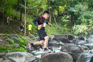 BIB: 
                            <button type="button" onclick="openModal(19430723)" class="btn btn-primary btn-sm float-right btn-popup" data-toggle="modal" data-target=".modal-high-quality">
                        <i class="fas fa-shopping-cart"></i> Add to Cart
                    </button>
                                            <button type="button" onclick="isThisMe(19430723, true)" class="btn btn-success btn-sm float-right btn-popup btn-isme hidden" data-toggle="tooltip" data-placement="bottom" title="นี่คือรูปของคุณใช่ไหม คลิกที่นี่เพื่อเอาเข้าอัลบั้ม">
                        <i class="fas fa-plus"></i> Add to album
                    </button>
                    <button type="button" onclick="isThisMe(19430723, false)" class="btn btn-warning btn-sm float-right btn-popup btn-isnotme hidden">
                        <i class="fas fa-ban"></i> Remove from album
                    </button>