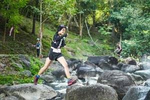 BIB: 
                            <button type="button" onclick="openModal(19431586)" class="btn btn-primary btn-sm float-right btn-popup" data-toggle="modal" data-target=".modal-high-quality">
                        <i class="fas fa-shopping-cart"></i> Add to Cart
                    </button>
                                            <button type="button" onclick="isThisMe(19431586, true)" class="btn btn-success btn-sm float-right btn-popup btn-isme hidden" data-toggle="tooltip" data-placement="bottom" title="นี่คือรูปของคุณใช่ไหม คลิกที่นี่เพื่อเอาเข้าอัลบั้ม">
                        <i class="fas fa-plus"></i> Add to album
                    </button>
                    <button type="button" onclick="isThisMe(19431586, false)" class="btn btn-warning btn-sm float-right btn-popup btn-isnotme hidden">
                        <i class="fas fa-ban"></i> Remove from album
                    </button>