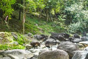 BIB: 
                            <button type="button" onclick="openModal(19434565)" class="btn btn-primary btn-sm float-right btn-popup" data-toggle="modal" data-target=".modal-high-quality">
                        <i class="fas fa-shopping-cart"></i> Add to Cart
                    </button>
                                            <button type="button" onclick="isThisMe(19434565, true)" class="btn btn-success btn-sm float-right btn-popup btn-isme hidden" data-toggle="tooltip" data-placement="bottom" title="นี่คือรูปของคุณใช่ไหม คลิกที่นี่เพื่อเอาเข้าอัลบั้ม">
                        <i class="fas fa-plus"></i> Add to album
                    </button>
                    <button type="button" onclick="isThisMe(19434565, false)" class="btn btn-warning btn-sm float-right btn-popup btn-isnotme hidden">
                        <i class="fas fa-ban"></i> Remove from album
                    </button>