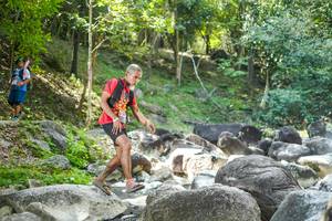 BIB: 
                            <button type="button" onclick="openModal(19433406)" class="btn btn-primary btn-sm float-right btn-popup" data-toggle="modal" data-target=".modal-high-quality">
                        <i class="fas fa-shopping-cart"></i> Add to Cart
                    </button>
                                            <button type="button" onclick="isThisMe(19433406, true)" class="btn btn-success btn-sm float-right btn-popup btn-isme hidden" data-toggle="tooltip" data-placement="bottom" title="นี่คือรูปของคุณใช่ไหม คลิกที่นี่เพื่อเอาเข้าอัลบั้ม">
                        <i class="fas fa-plus"></i> Add to album
                    </button>
                    <button type="button" onclick="isThisMe(19433406, false)" class="btn btn-warning btn-sm float-right btn-popup btn-isnotme hidden">
                        <i class="fas fa-ban"></i> Remove from album
                    </button>