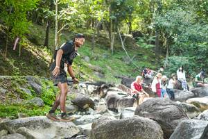 BIB: 
                            <button type="button" onclick="openModal(19433173)" class="btn btn-primary btn-sm float-right btn-popup" data-toggle="modal" data-target=".modal-high-quality">
                        <i class="fas fa-shopping-cart"></i> Add to Cart
                    </button>
                                            <button type="button" onclick="isThisMe(19433173, true)" class="btn btn-success btn-sm float-right btn-popup btn-isme hidden" data-toggle="tooltip" data-placement="bottom" title="นี่คือรูปของคุณใช่ไหม คลิกที่นี่เพื่อเอาเข้าอัลบั้ม">
                        <i class="fas fa-plus"></i> Add to album
                    </button>
                    <button type="button" onclick="isThisMe(19433173, false)" class="btn btn-warning btn-sm float-right btn-popup btn-isnotme hidden">
                        <i class="fas fa-ban"></i> Remove from album
                    </button>