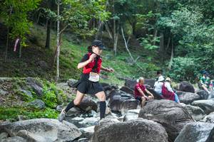 BIB: 
                            <button type="button" onclick="openModal(19433066)" class="btn btn-primary btn-sm float-right btn-popup" data-toggle="modal" data-target=".modal-high-quality">
                        <i class="fas fa-shopping-cart"></i> Add to Cart
                    </button>
                                            <button type="button" onclick="isThisMe(19433066, true)" class="btn btn-success btn-sm float-right btn-popup btn-isme hidden" data-toggle="tooltip" data-placement="bottom" title="นี่คือรูปของคุณใช่ไหม คลิกที่นี่เพื่อเอาเข้าอัลบั้ม">
                        <i class="fas fa-plus"></i> Add to album
                    </button>
                    <button type="button" onclick="isThisMe(19433066, false)" class="btn btn-warning btn-sm float-right btn-popup btn-isnotme hidden">
                        <i class="fas fa-ban"></i> Remove from album
                    </button>