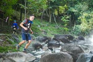 BIB: 
                            <button type="button" onclick="openModal(19430255)" class="btn btn-primary btn-sm float-right btn-popup" data-toggle="modal" data-target=".modal-high-quality">
                        <i class="fas fa-shopping-cart"></i> Add to Cart
                    </button>
                                            <button type="button" onclick="isThisMe(19430255, true)" class="btn btn-success btn-sm float-right btn-popup btn-isme hidden" data-toggle="tooltip" data-placement="bottom" title="นี่คือรูปของคุณใช่ไหม คลิกที่นี่เพื่อเอาเข้าอัลบั้ม">
                        <i class="fas fa-plus"></i> Add to album
                    </button>
                    <button type="button" onclick="isThisMe(19430255, false)" class="btn btn-warning btn-sm float-right btn-popup btn-isnotme hidden">
                        <i class="fas fa-ban"></i> Remove from album
                    </button>