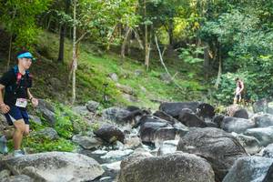 BIB: 
                            <button type="button" onclick="openModal(19431694)" class="btn btn-primary btn-sm float-right btn-popup" data-toggle="modal" data-target=".modal-high-quality">
                        <i class="fas fa-shopping-cart"></i> Add to Cart
                    </button>
                                            <button type="button" onclick="isThisMe(19431694, true)" class="btn btn-success btn-sm float-right btn-popup btn-isme hidden" data-toggle="tooltip" data-placement="bottom" title="นี่คือรูปของคุณใช่ไหม คลิกที่นี่เพื่อเอาเข้าอัลบั้ม">
                        <i class="fas fa-plus"></i> Add to album
                    </button>
                    <button type="button" onclick="isThisMe(19431694, false)" class="btn btn-warning btn-sm float-right btn-popup btn-isnotme hidden">
                        <i class="fas fa-ban"></i> Remove from album
                    </button>