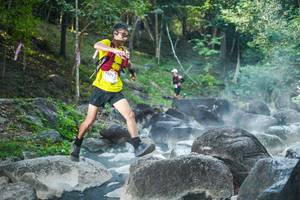 BIB: 
                            <button type="button" onclick="openModal(19429815)" class="btn btn-primary btn-sm float-right btn-popup" data-toggle="modal" data-target=".modal-high-quality">
                        <i class="fas fa-shopping-cart"></i> Add to Cart
                    </button>
                                            <button type="button" onclick="isThisMe(19429815, true)" class="btn btn-success btn-sm float-right btn-popup btn-isme hidden" data-toggle="tooltip" data-placement="bottom" title="นี่คือรูปของคุณใช่ไหม คลิกที่นี่เพื่อเอาเข้าอัลบั้ม">
                        <i class="fas fa-plus"></i> Add to album
                    </button>
                    <button type="button" onclick="isThisMe(19429815, false)" class="btn btn-warning btn-sm float-right btn-popup btn-isnotme hidden">
                        <i class="fas fa-ban"></i> Remove from album
                    </button>