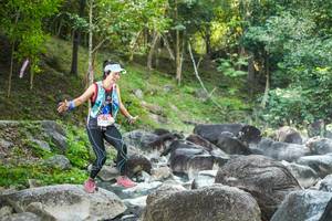 BIB: 
                            <button type="button" onclick="openModal(19431596)" class="btn btn-primary btn-sm float-right btn-popup" data-toggle="modal" data-target=".modal-high-quality">
                        <i class="fas fa-shopping-cart"></i> Add to Cart
                    </button>
                                            <button type="button" onclick="isThisMe(19431596, true)" class="btn btn-success btn-sm float-right btn-popup btn-isme hidden" data-toggle="tooltip" data-placement="bottom" title="นี่คือรูปของคุณใช่ไหม คลิกที่นี่เพื่อเอาเข้าอัลบั้ม">
                        <i class="fas fa-plus"></i> Add to album
                    </button>
                    <button type="button" onclick="isThisMe(19431596, false)" class="btn btn-warning btn-sm float-right btn-popup btn-isnotme hidden">
                        <i class="fas fa-ban"></i> Remove from album
                    </button>