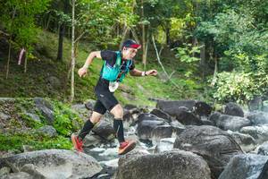 BIB: 
                            <button type="button" onclick="openModal(19430792)" class="btn btn-primary btn-sm float-right btn-popup" data-toggle="modal" data-target=".modal-high-quality">
                        <i class="fas fa-shopping-cart"></i> Add to Cart
                    </button>
                                            <button type="button" onclick="isThisMe(19430792, true)" class="btn btn-success btn-sm float-right btn-popup btn-isme hidden" data-toggle="tooltip" data-placement="bottom" title="นี่คือรูปของคุณใช่ไหม คลิกที่นี่เพื่อเอาเข้าอัลบั้ม">
                        <i class="fas fa-plus"></i> Add to album
                    </button>
                    <button type="button" onclick="isThisMe(19430792, false)" class="btn btn-warning btn-sm float-right btn-popup btn-isnotme hidden">
                        <i class="fas fa-ban"></i> Remove from album
                    </button>